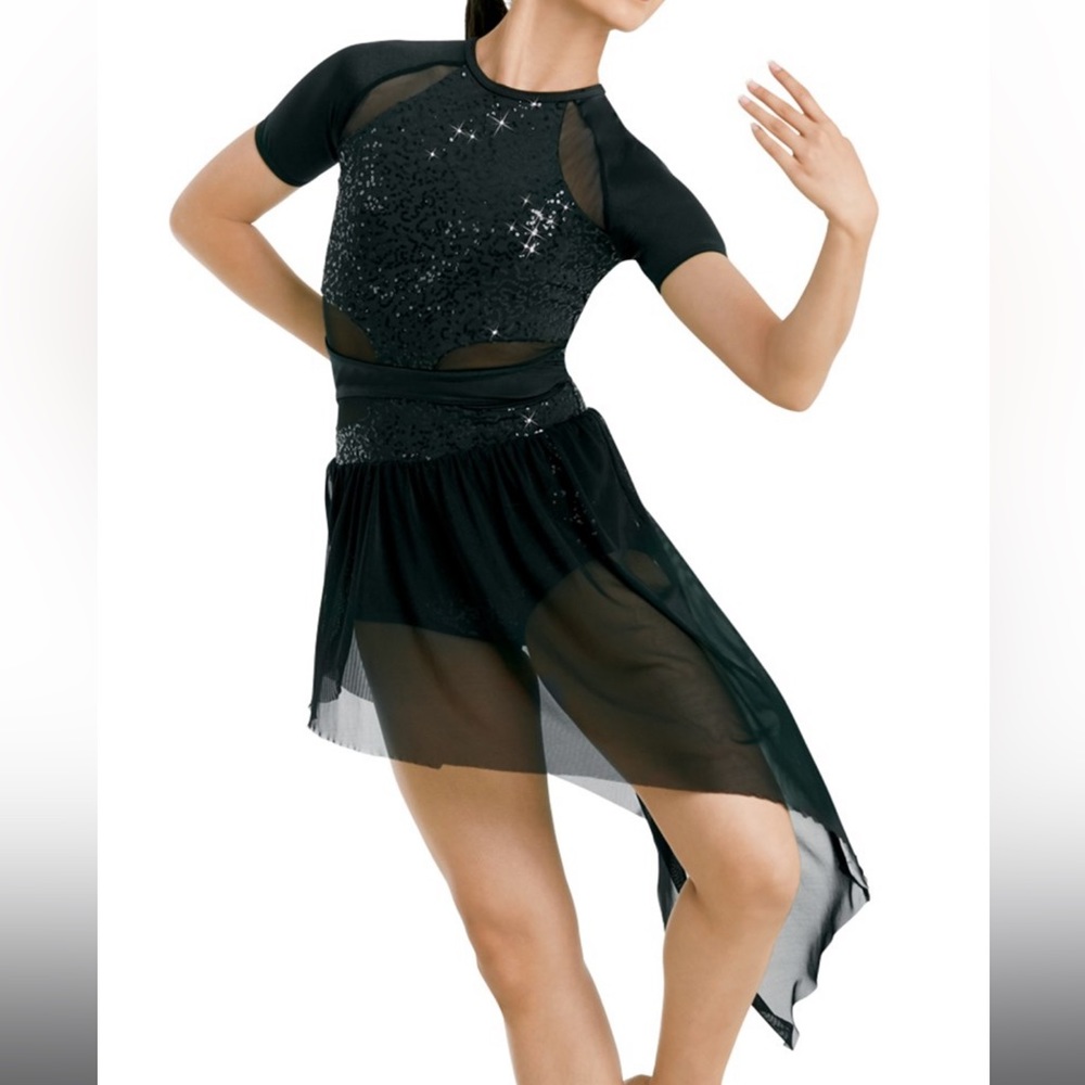 Weissman Black Sequin and Mesh Costume Dress Medium Adult ‘Bridges-Striped’ NEW